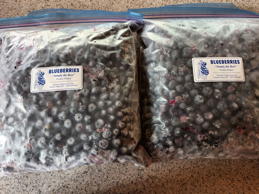 Subscription Package #2- 8lbs Frozen Organic Blueberries Per Month